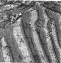 蜜桃视频在线播放中铁磁性材料磁粉成像